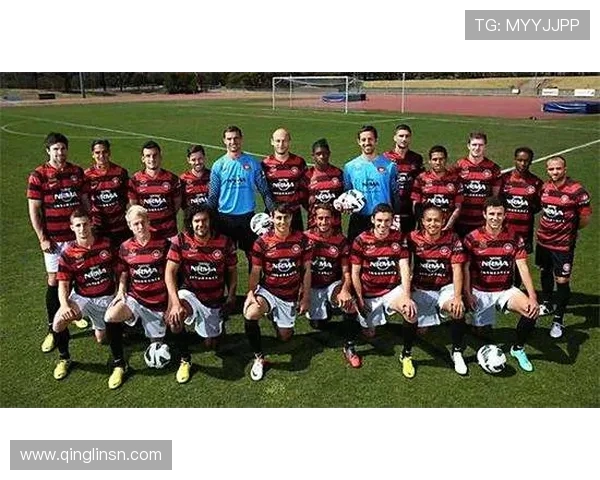 西悉尼流浪者正式签约前墨尔本城中场乌加尔科维奇 强化球队阵容