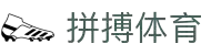 拼搏体育(科技)有限公司